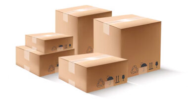 Desi Nedir ve Neden Önemlidir?